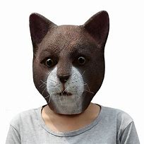 Image result for Cat Mask Funny