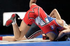 Image result for Images of Girls Freestyle Wrestling