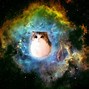 Image result for Space Cat Wallpaper Desktop 3456X1954
