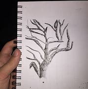 Image result for Dip Pen and Ink