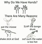Image result for Why We Have Hands Meme Template