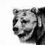 Image result for Pencil Portraits Animals