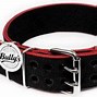 Image result for Custom Pitbull Collars