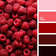 Image result for Red Flesh Color Palette