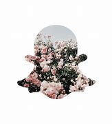 Image result for Trippy Snapchat Logo