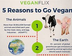 Image result for Reasons to Be Vegan