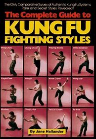 Image result for Chinese Fighting Styles List