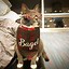 Image result for Bagel Cat Meme