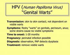 Image result for Warts HPV Virus in Women