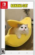 Image result for Know Your Meme Banana Cat