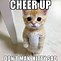 Image result for Funny Cheer Up Meme