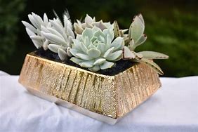 Image result for gold succulents pot