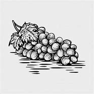 Image result for Grapes Graphic