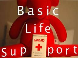 Image result for Basic Life Support PPT
