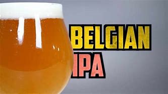 Image result for Belgian IPA