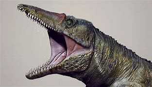 Image result for Crocodile Ancestor