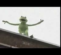 Image result for Kermit Fall Meme