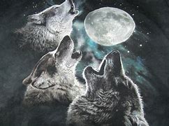 Image result for Wolves Moon Meme