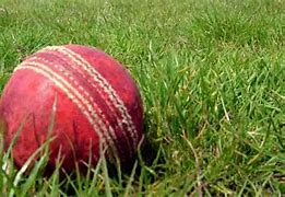 Image result for Cricket