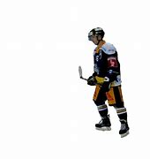 Image result for Ice Hockey Stick