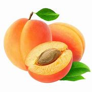 Image result for What Are Apricots