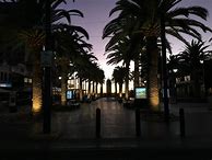 Image result for iPhone Photography Reddit