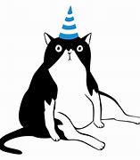 Image result for Let's Party Cat Meme