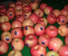 Image result for Apple China Second Hand