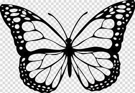Image result for Transparent Butterfly Clip Art Black