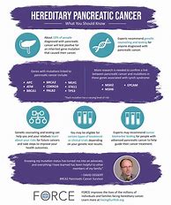 Image result for Pancreatic Cancer Infographic