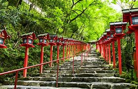 Image result for japanese shrines