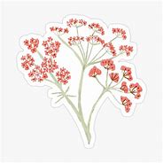 Image result for Coral Aesthetic Stickers