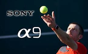 Image result for Sony A9 Sports