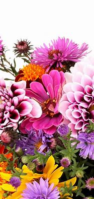 Image result for 7 iPhone Wallpaper Floral