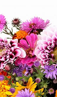 Image result for Floral iPhone Background