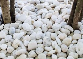 Image result for White Pebble Rock