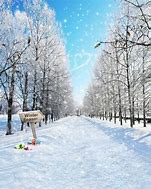 Image result for 4X6 Winter