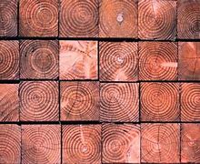 Image result for Pressure Treated Timber Sizes