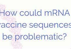 Image result for mRNA
