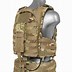 Image result for Tactical Plate Carrier