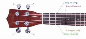 Image result for Ukulele Tuner Chords