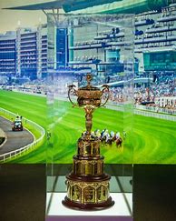 Image result for Dubai Trophy Race