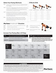 Image result for Perfect Pushup Workout PDF