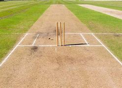 Image result for Great Wickets in Cricket