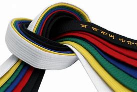 Image result for Martial Arts Belts