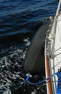 Image result for Water Ballast Sailboat