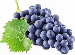 Image result for Grape Orchard