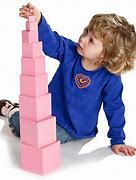Image result for Pink Tower Activity