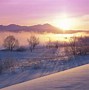 Image result for Japan Winter