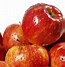 Image result for Red Fruit Shoot Apple